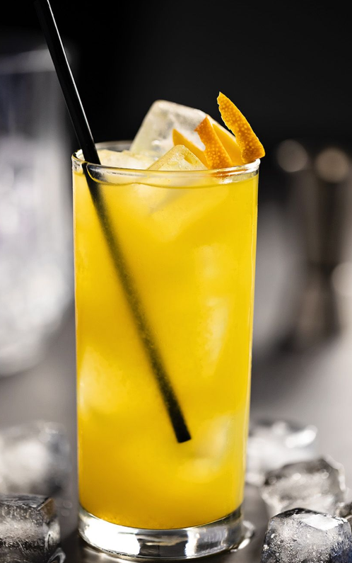 Screwdriver-cocktail 20 Popular Cocktails Every Bartender Should Know