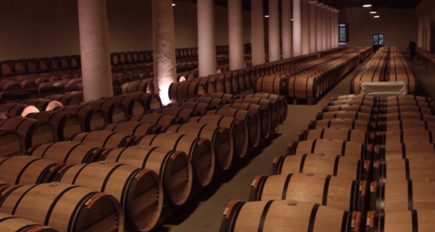 Wine-barrels Wine Essentials - Basic Wine Knowledge For Beginners