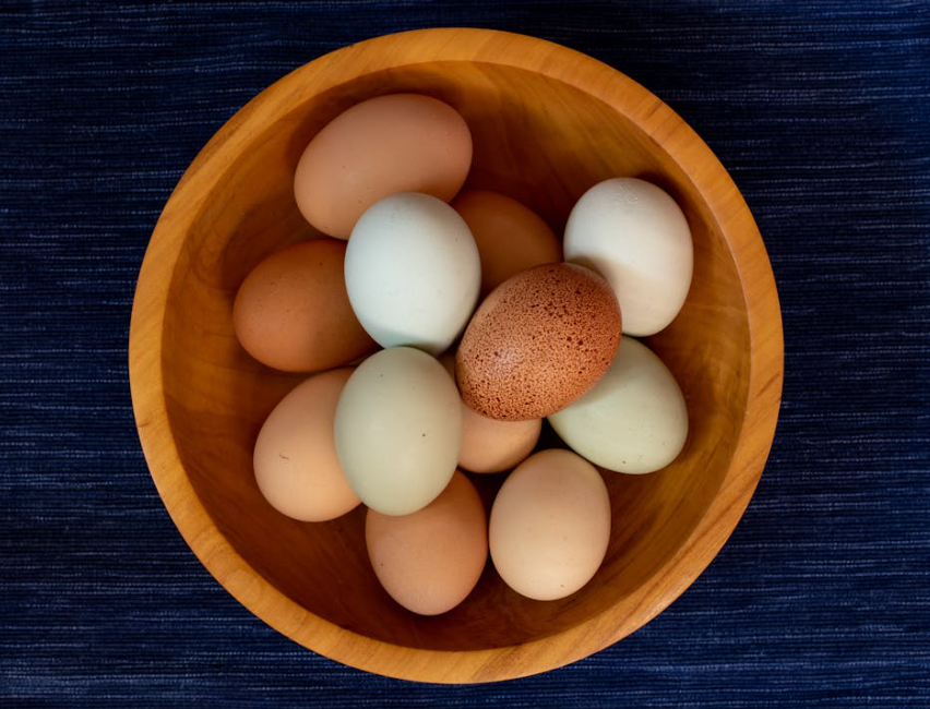 image-11 12 Types Of Eggs | Different Animal Eggs